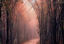 索马里选手凭实力获得好成绩,斩获奖牌